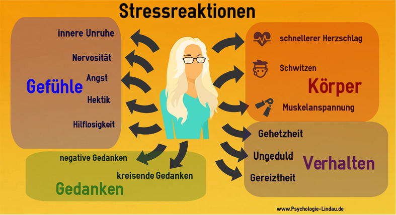 Stressreaktionen Psychotherapie Stress und Burnout Lindau Bodensee